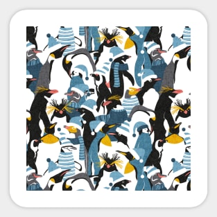 Merry penguins // pattern // black white grey dark teal yellow and coral type species of penguins blue dressed for winter and Christmas season (King, African, Emperor, Gentoo, Galápagos, Macaroni, Adèlie, Rockhopper, Yellow-eyed, Chinstrap) Sticker